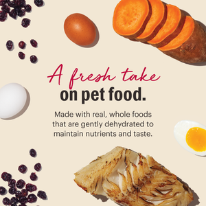 Dehydrated Grain Free Fish
