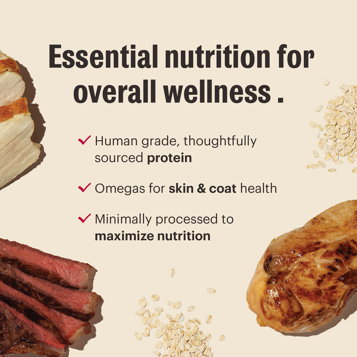 Essential Clusters Dry Dog Food from The Honest Kitchen