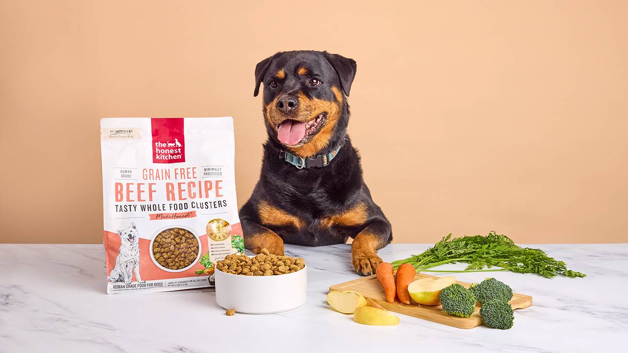 best diet dog food
