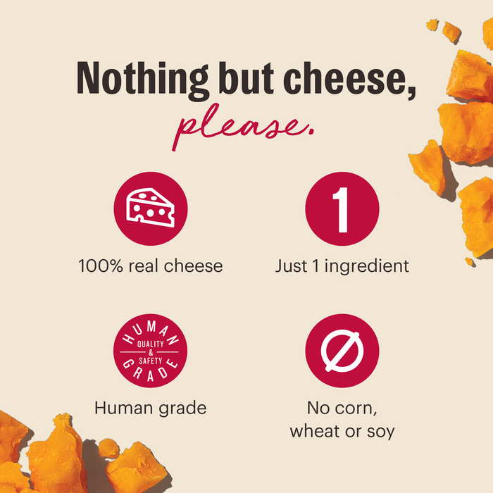 Nothing but cheese, please. 100% real cheese. human grade. just 1 ingredient. | The Honest Kitchen's Crunchy Cheese Bites Dog Treat 