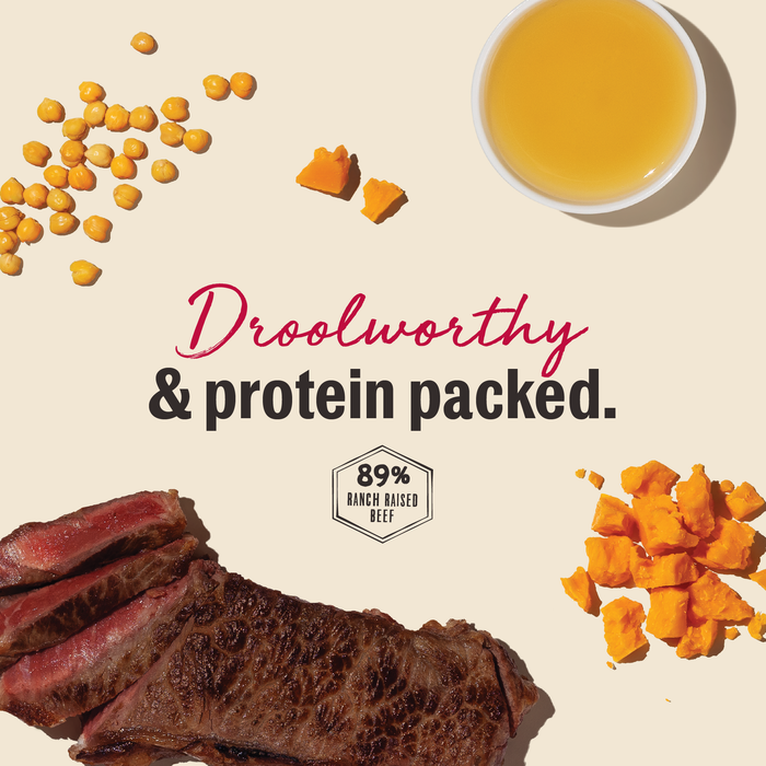 Gourmet Barbeque Liver Chips Meaty Dog Treats from The Honest Kitchen