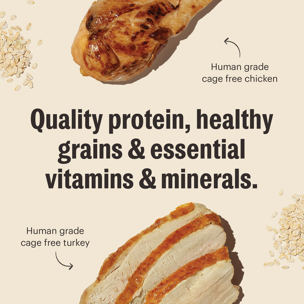 Clusters Chicken Whole Grain Turkey & Chicken Essential Clusters – The Honest Kitchen