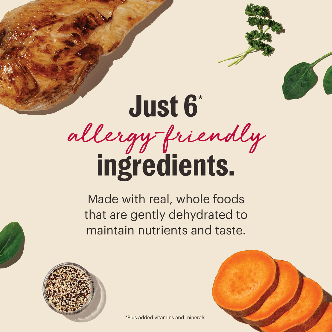 Dehydrated Limited Ingredient Chicken