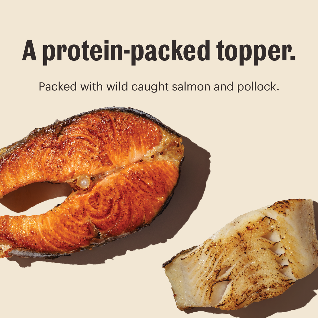 Meal Booster - 99% Salmon & Pollock (12)