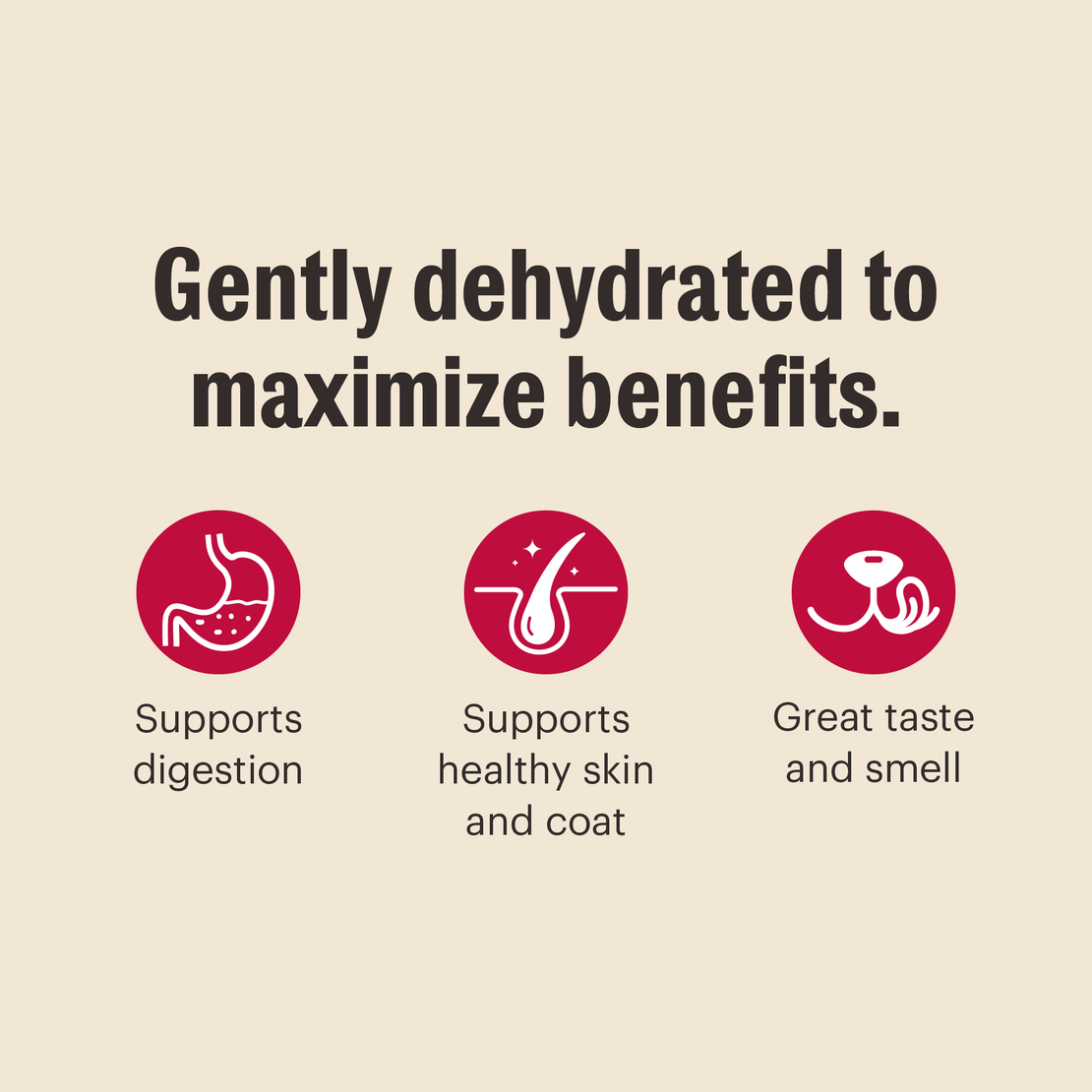 Dehydrated Whole Grain Turkey