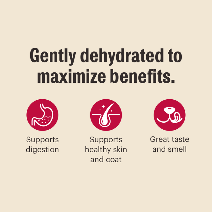 dehydrated dog food from The Honest Kitchen