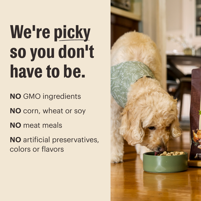 The Honest Kitchen Protein Plus Toppers | High Protein Toppers made without GMO ingredients, corn, wheat, soy, meat meals, artificial preservatives, colors and flavors.