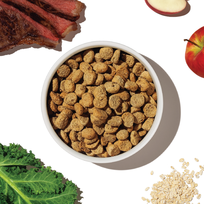 Whole Grain Beef & Oat Whole Food Clusters – The Honest Kitchen