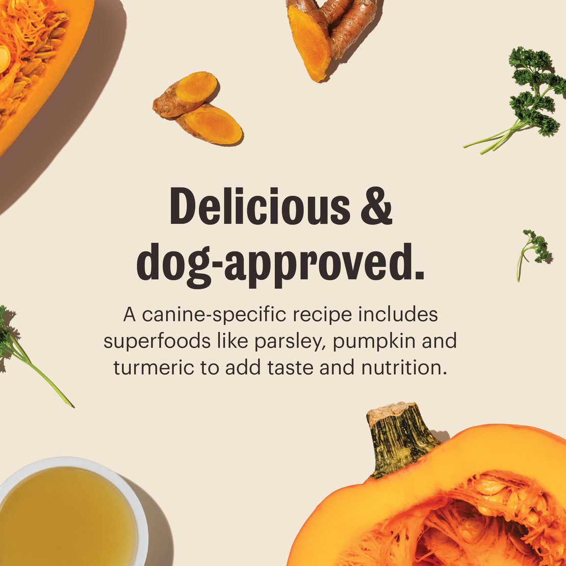 Daily Boosters Instant Bone Broth Supplement For Dogs and Cats