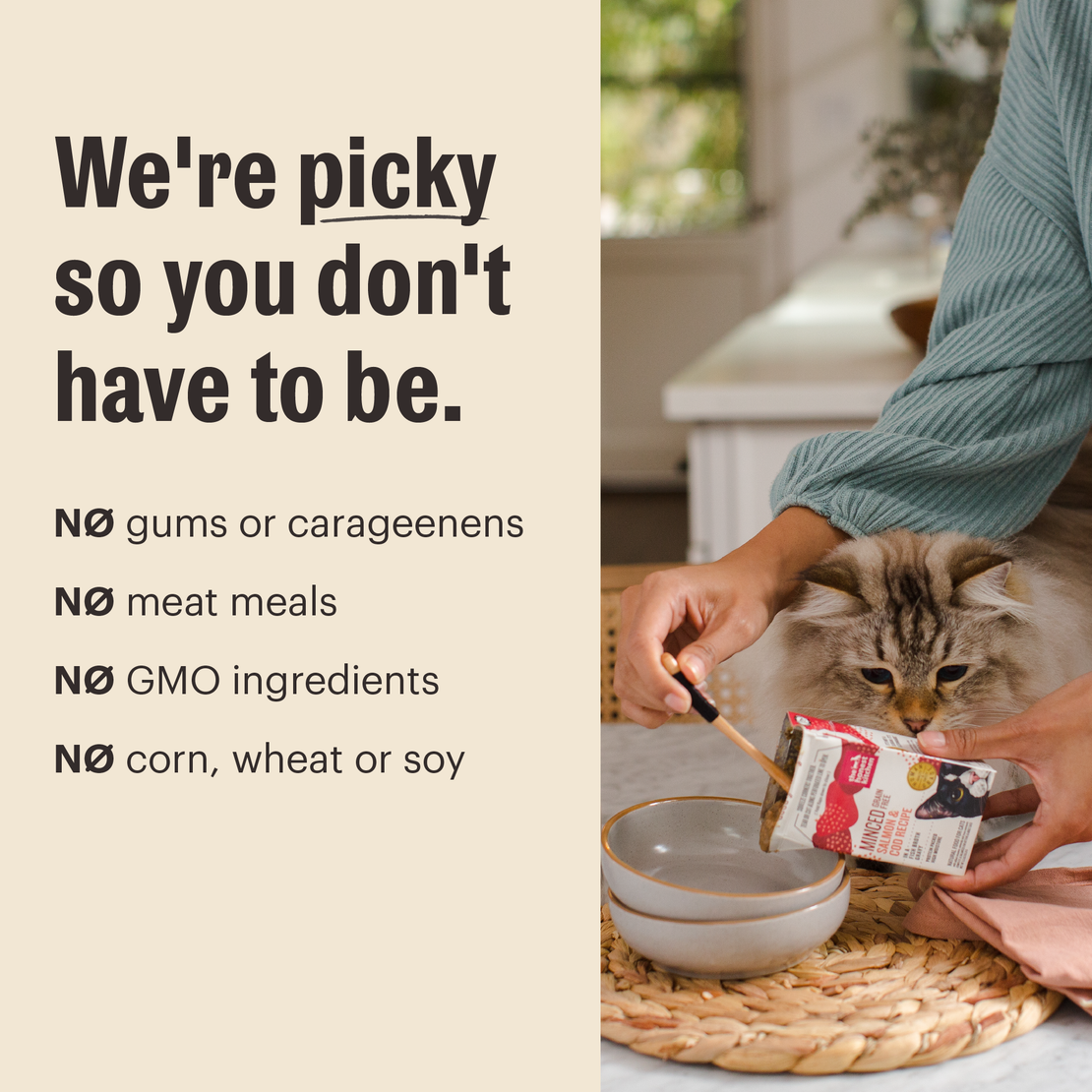 Migiri My Cat Is Being A Picky Eater Fussy Eater My Cat Is Not