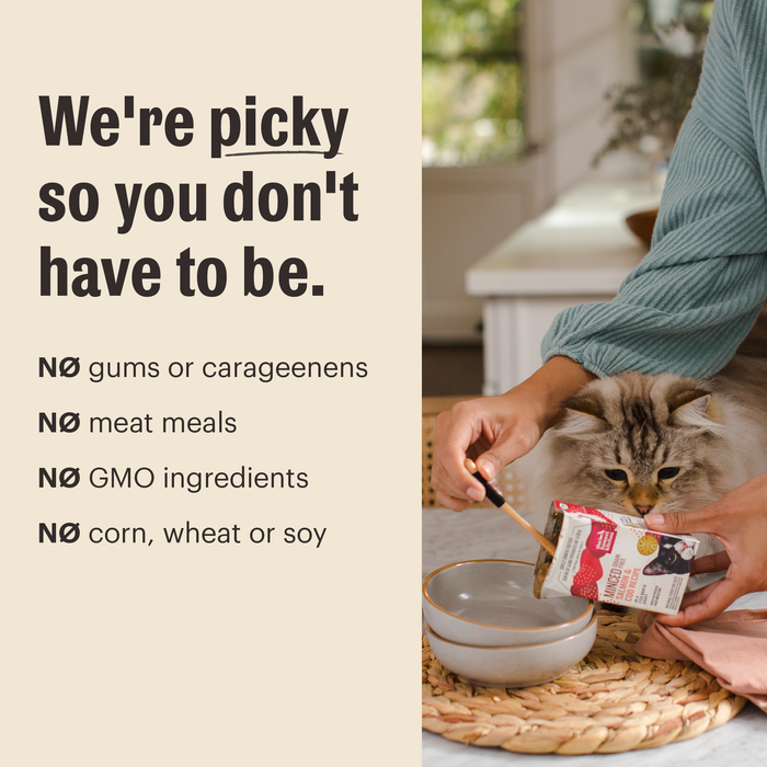 Wet Cat Food