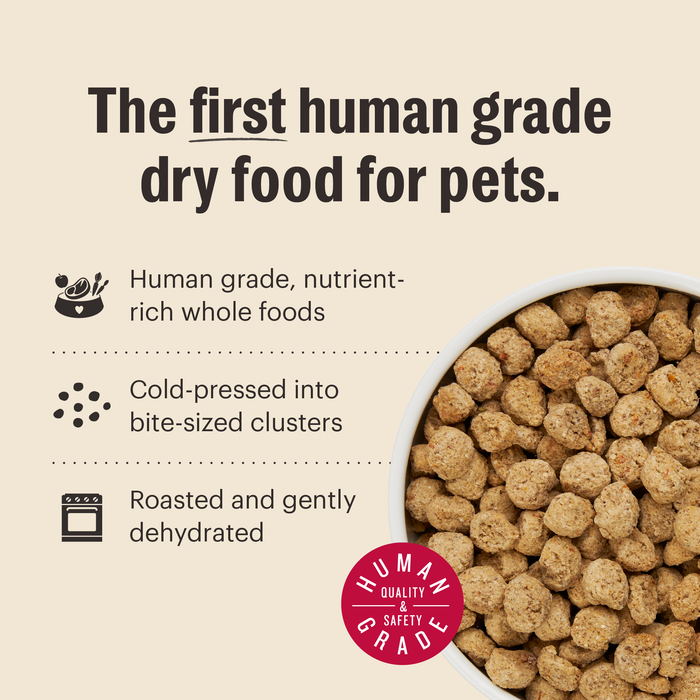 Essential Clusters Dry Dog Food from The Honest Kitchen