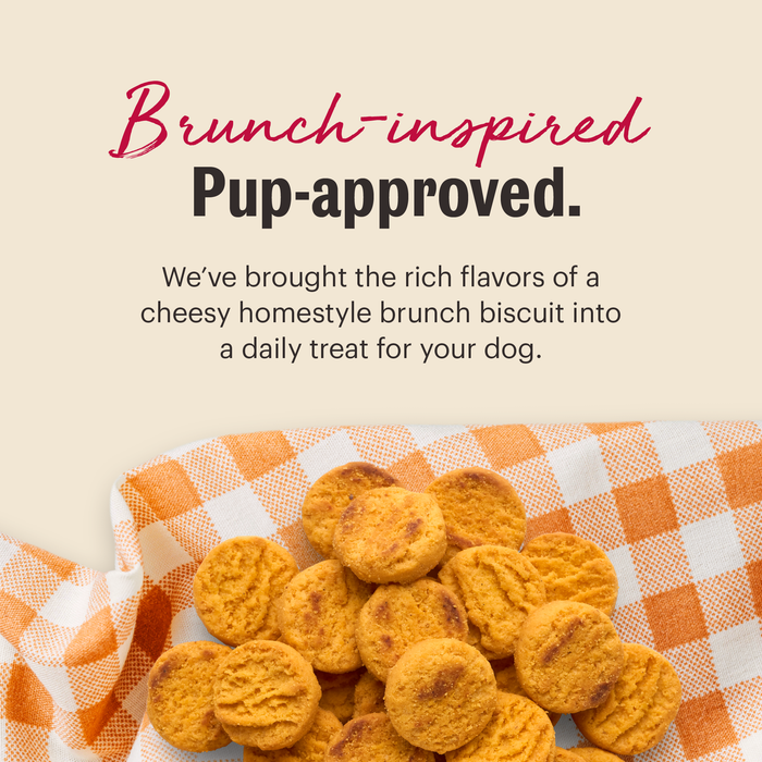 Brunch inspired, pup-approved. We've brought the rich flavors of a cheesy homestyle biscuit to your dog. | The Honest Kitchen's Cheddar Biscuits Human Grade Dog Treats