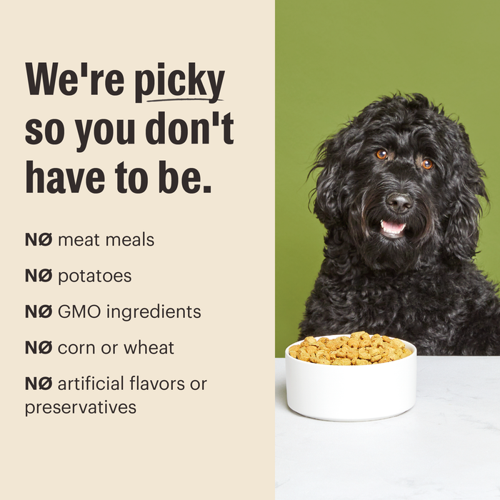 Essential Clusters Dry Dog Food from The Honest Kitchen