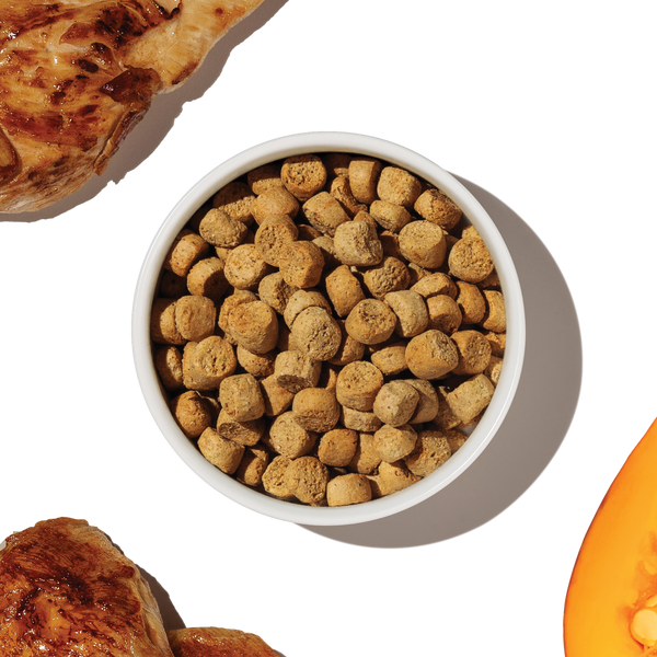 Clusters Chicken Grain Free Chicken Protein Plus Clusters – The Honest Kitchen