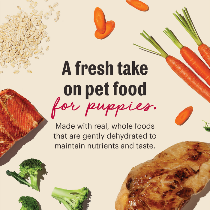 A fresh take on pet food for puppies. Image highlights whole food ingredients used in the recipe. Whole Grain Chicken Dehydrated Puppy Dog Food from The Honest Kitchen